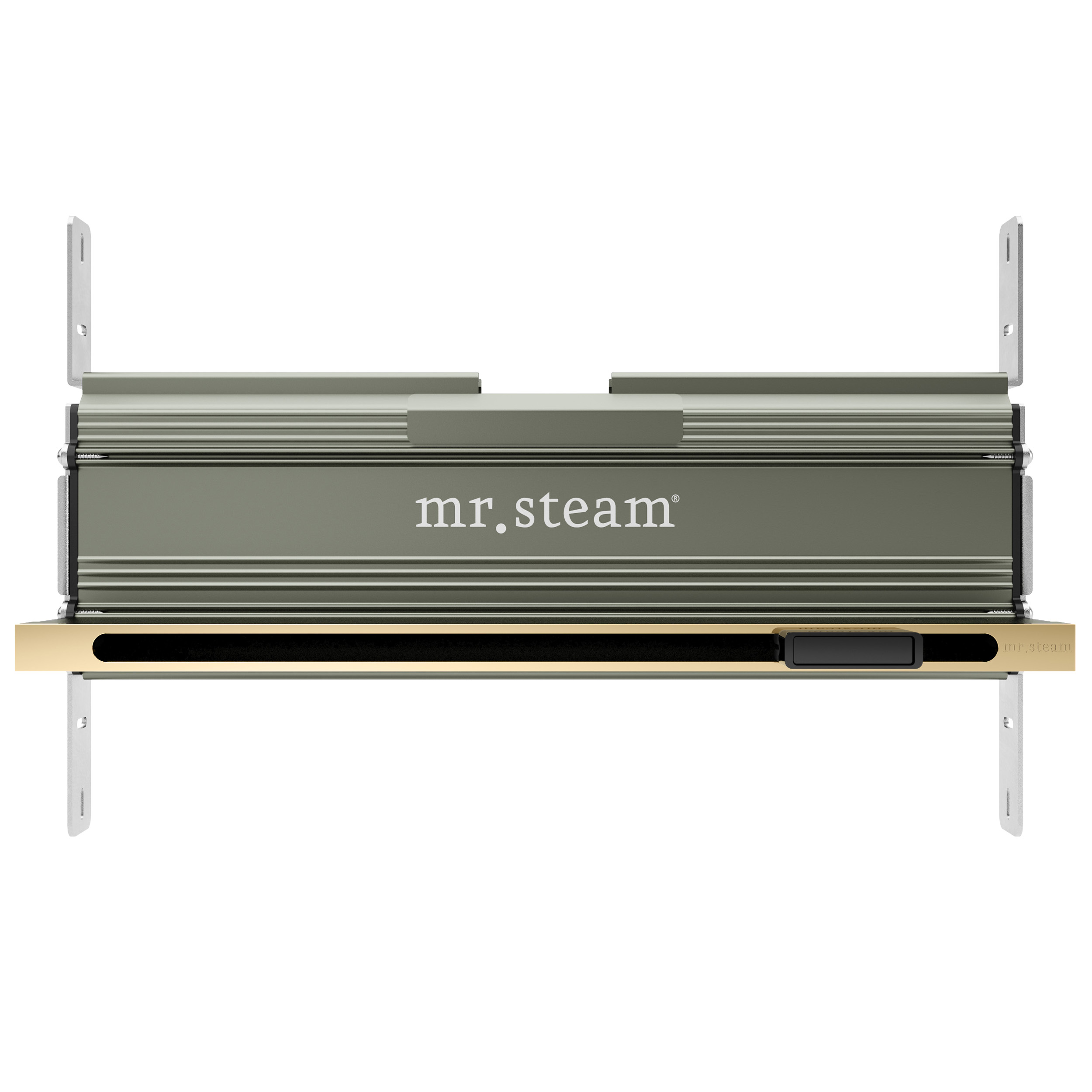 Mr Steam 104480PB Linear 16 in. Steam Head With AromaTray in Polished Brass