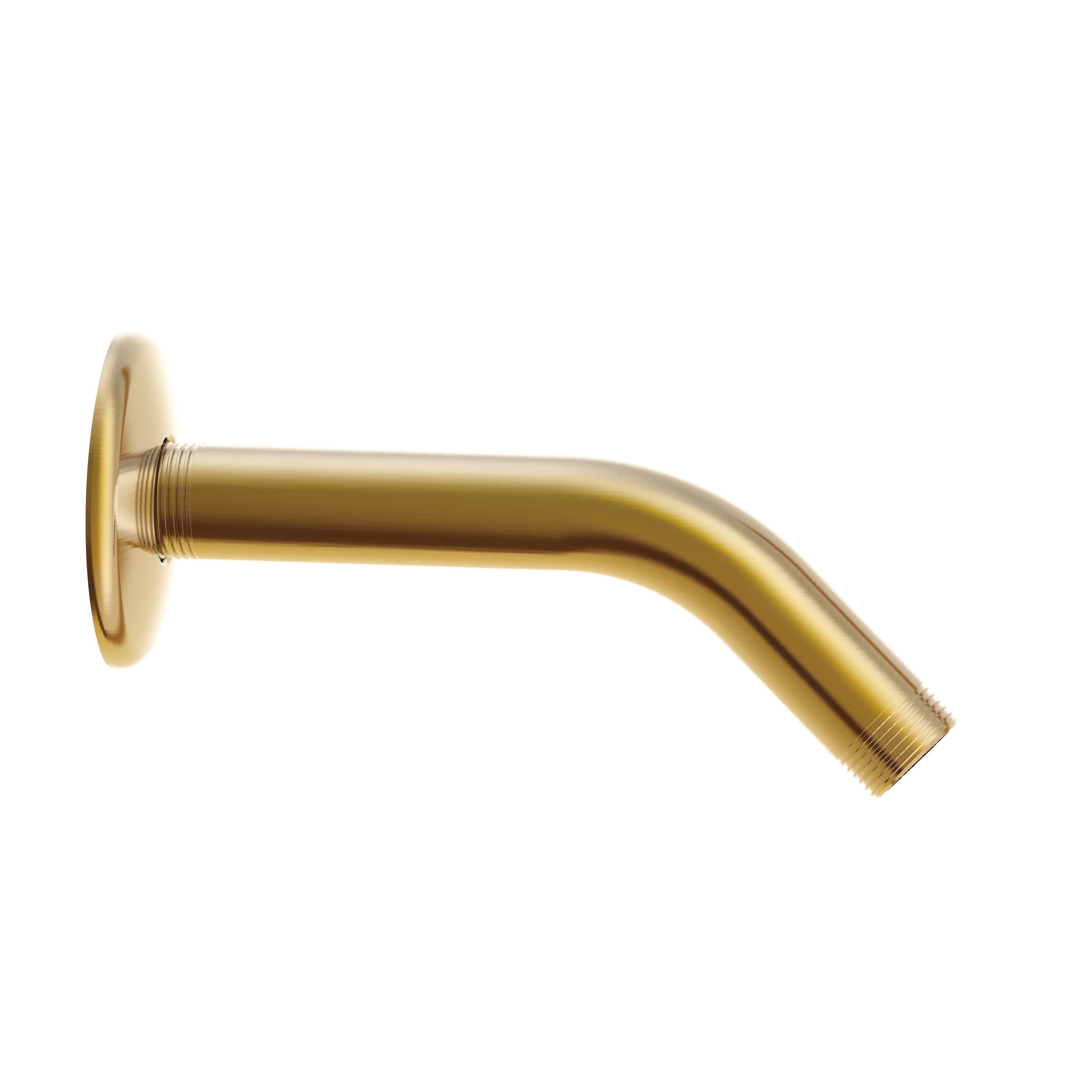 Danze D481136BB 6" Showerarm w/ Escutcheon - Brushed Bronze