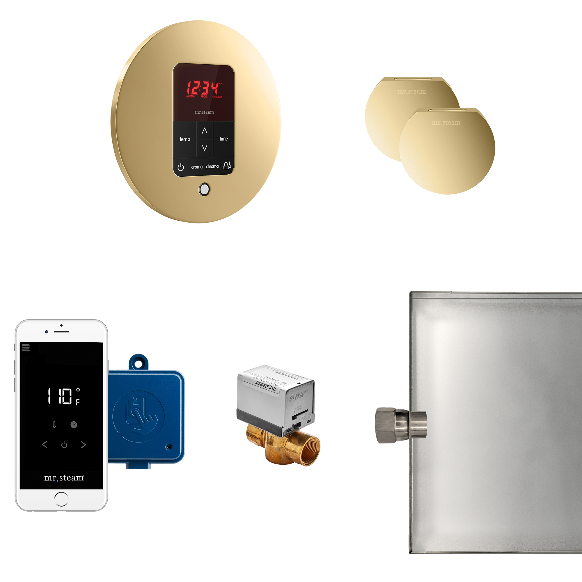 Mr Steam MSBUTLERXRD-PB Butler Max Steam Generator Control Kit / Package in Round Polished Brass