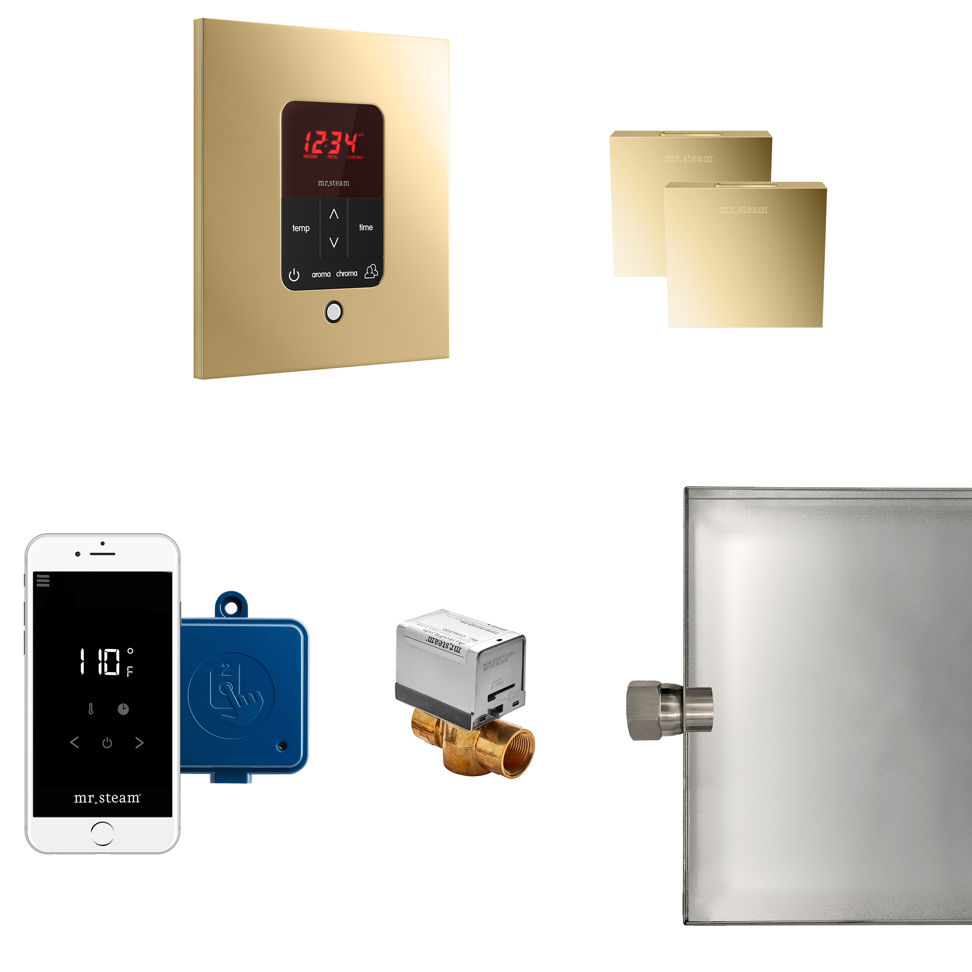 Mr Steam MSBUTLERXSQ-PB Butler Max Steam Generator Control Kit / Package in Square Polished Brass