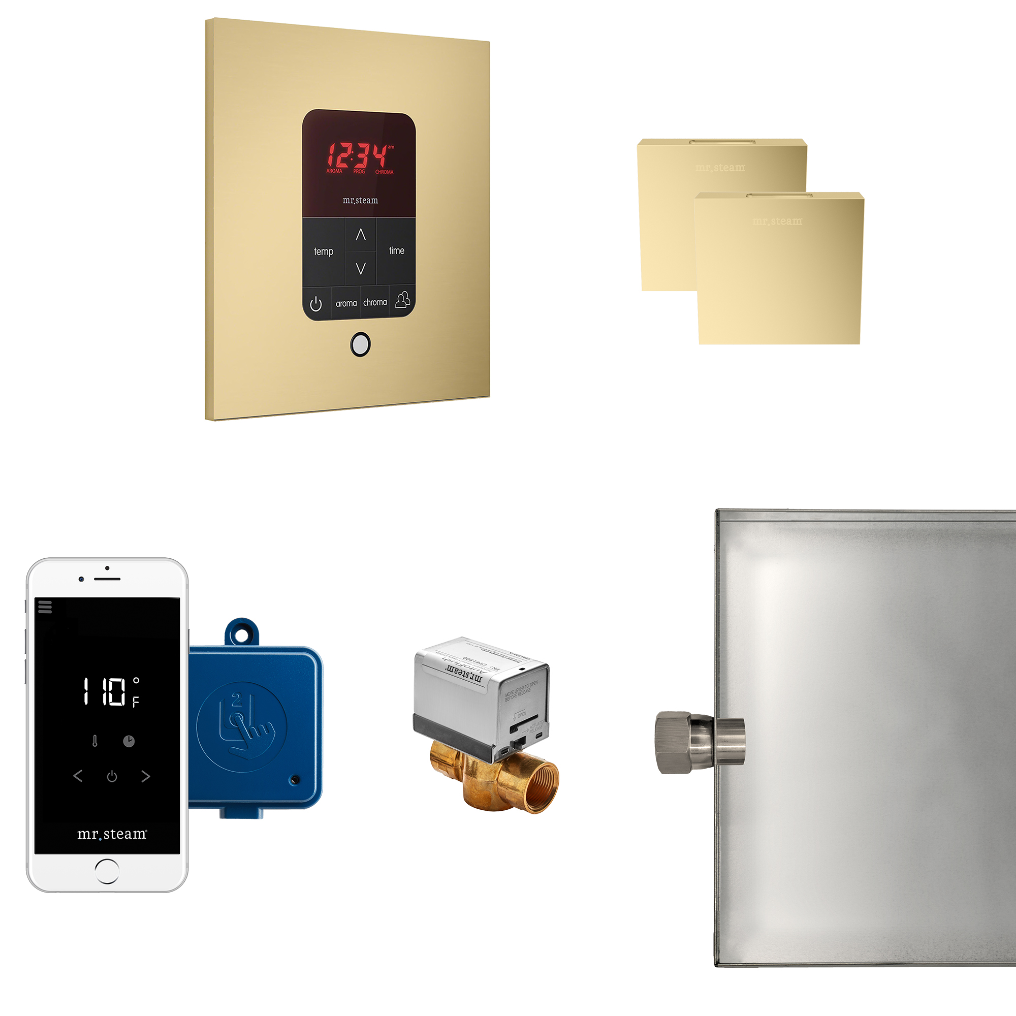 Mr Steam MSBUTLERXSQ-SB Butler Max Steam Generator Control Kit / Package in Square Satin Brass