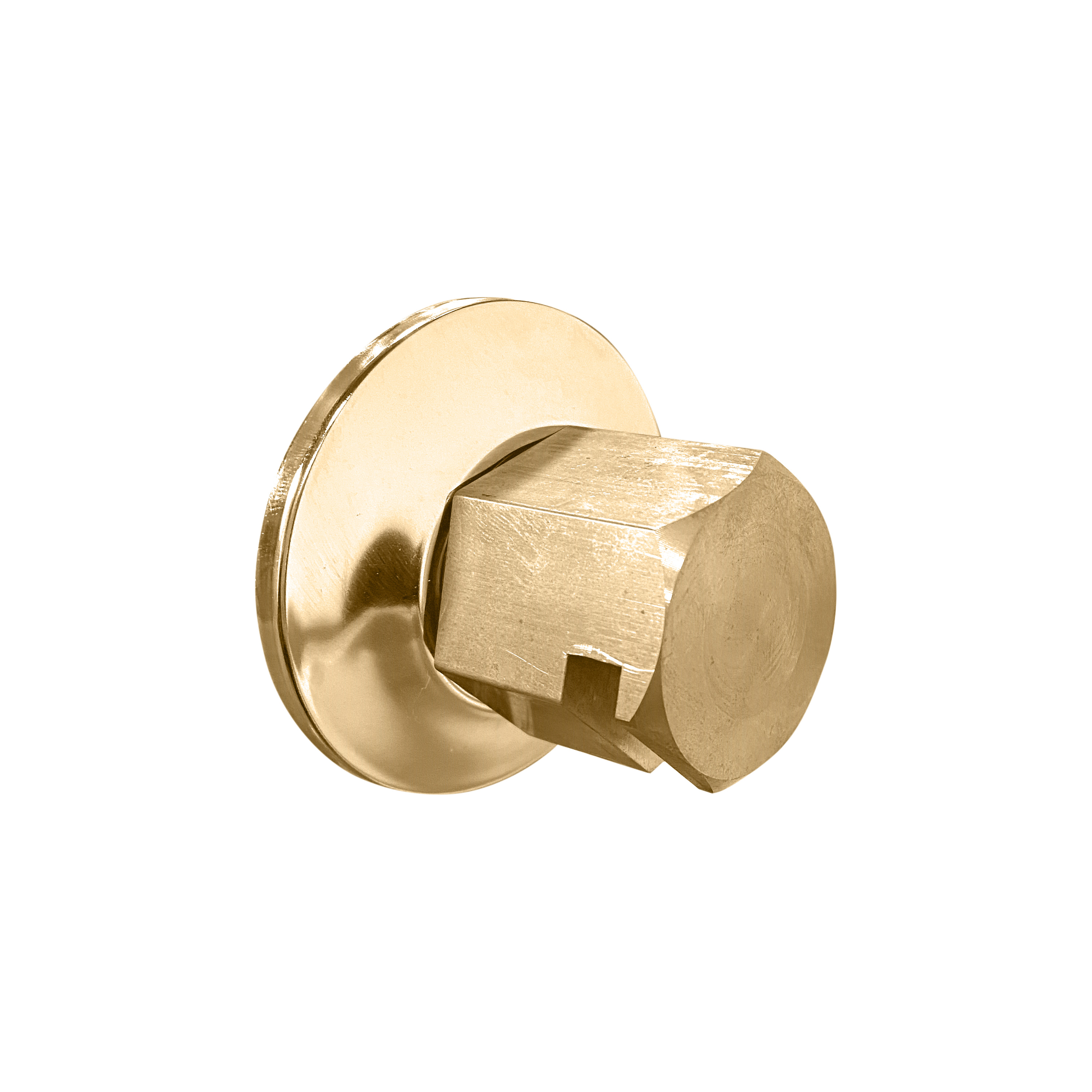 Thermasol TSS-SB Traditional 3/4" Style Steam Head - Satin Brass