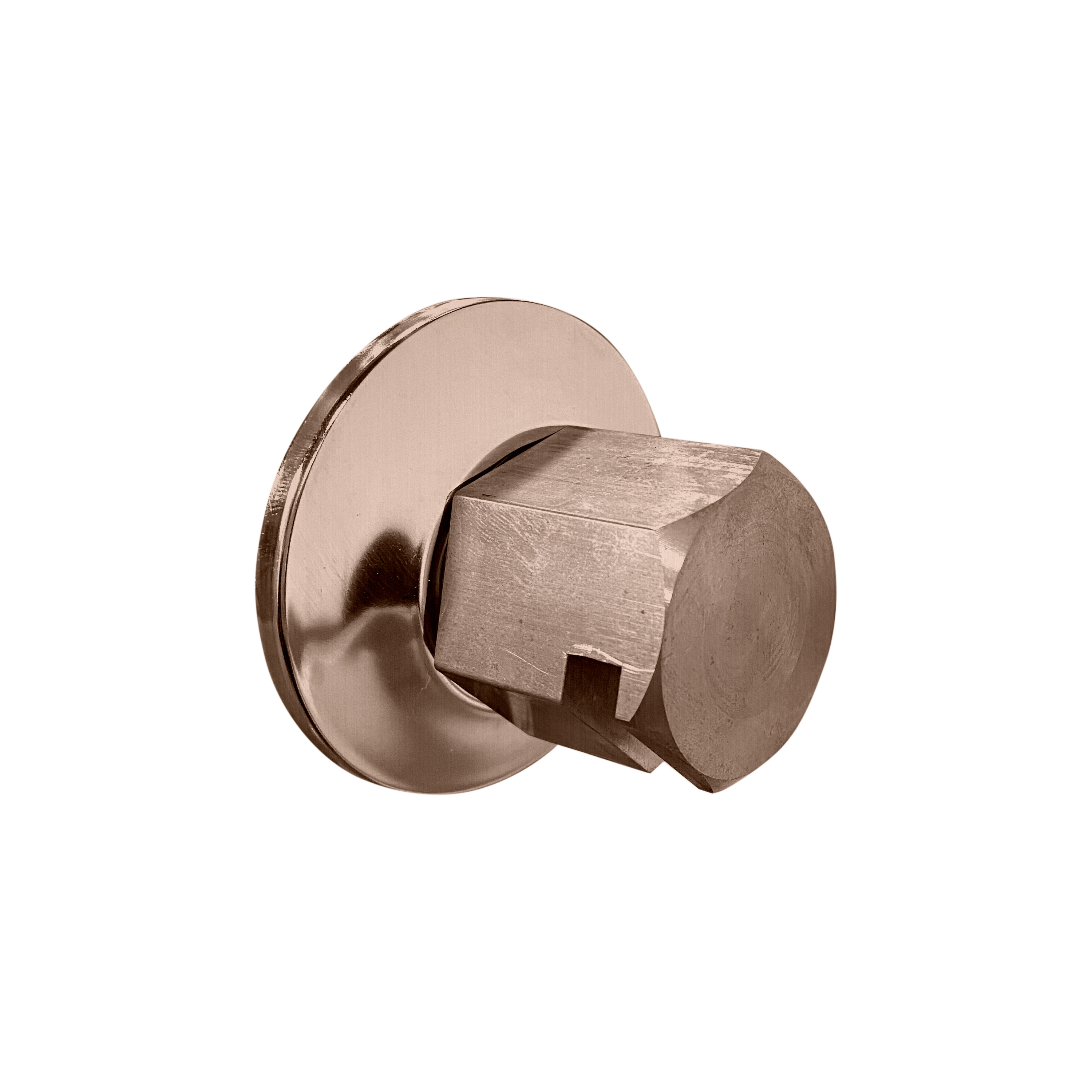 Thermasol TSS-SN Traditional 3/4" Style Steam Head - Satin Nickel